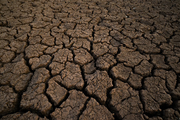 Global warming concept,land with dry cracked ground