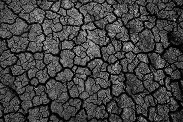 Global warming concept,land with dry cracked ground