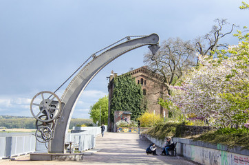 Oderpromenade in Frankfurt an der Oder zur Zeit der Baumblüte im April mit historischem Hafenkran und historischem Oderspeicher
