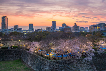 Osaka skyline with full bloom of sakura