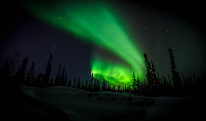 Fototapeta na wymiar Alaska Aurora Northern Lights