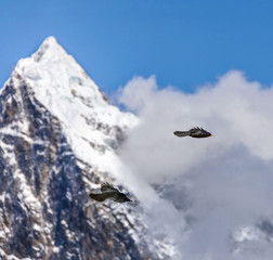 Black birds and snow flags on the top of the Ama Dablam peak - Mount Everest region, Nepal,...