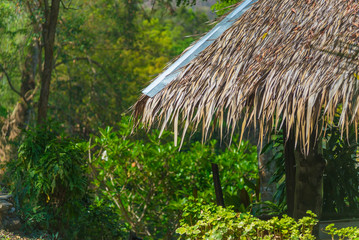 Thatched roof house and a green garden with blue sky in countryside.