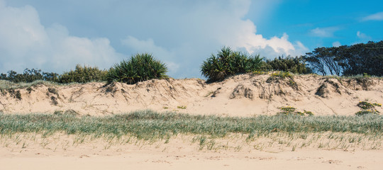 View of the pristine beach at Moreton Island during the day.