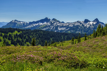 Tatoosh Range