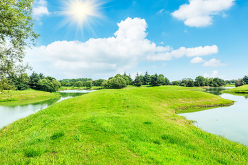 green grass under the blue sky