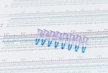 Protein sequencing by analysis of codon sequence of DNA