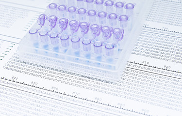 DNA sequencing for looking mutations