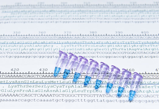 Protein sequencing by analysis of codon sequence of DNA