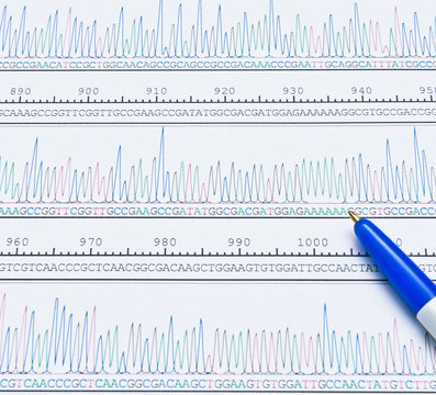DNA sequence analysis by chromatogram peaks