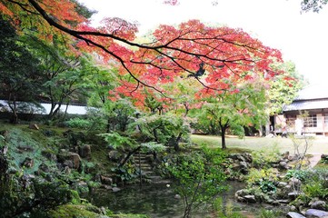 Fototapeta premium 城下町長府