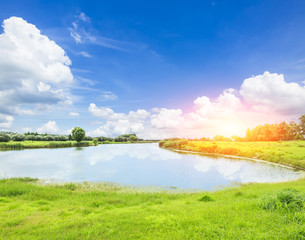 green grass under the blue sky © ABCDstock