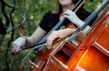 Two cello players hands © Christy