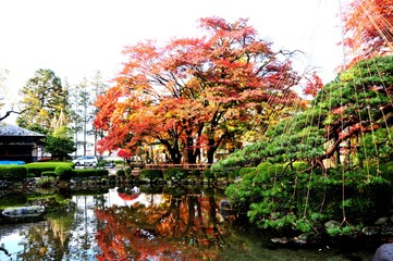 山形もみじ公園