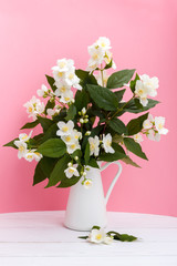 Fototapeta premium Fresh jasmine flowers in a vase