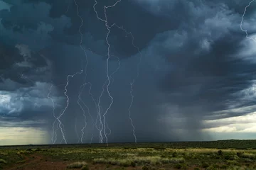 Fotobehang lightning striking during a desert storm  © Brent Hall