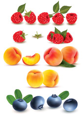 Collection of fruit and berries. Raspberry, peach, blueberry. Vector Set