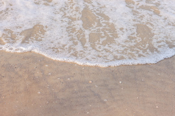 Fototapeta na wymiar Beach floor / Background image