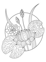 Lotus flower coloring book vector illustration