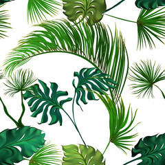 Tropical palm leaves set, drawn vector collection. Isolated on background. Decorative elements, botanical pattern, trendy design. Seamless pattern.