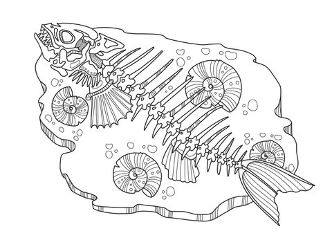 Skeleton of fish coloring book vector illustration