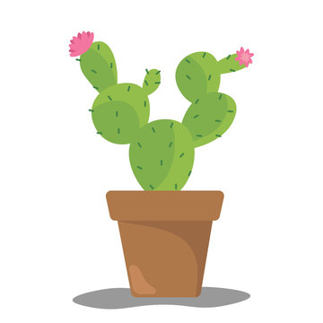 Cartoon image of cute green cactus