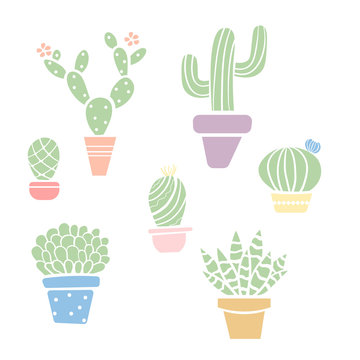 Several flower pots with cactus