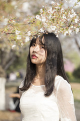 Naklejka premium Beautiful girl in spring time. Smiling, Asia, Outdoors, Springtime, Teenage Girls，