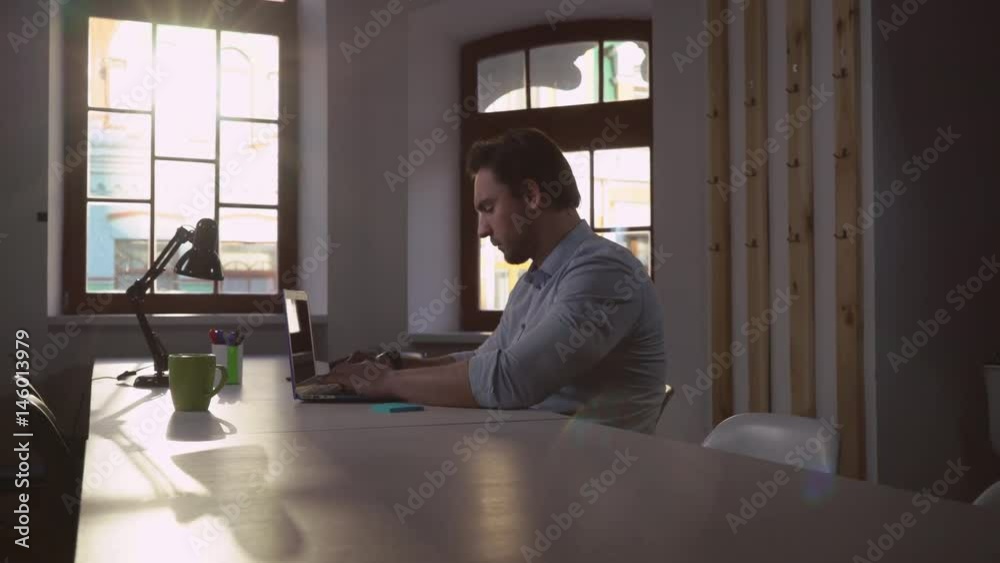 Poster handsome middle aged man working use computer. contemporary office with sunlight through the windows