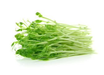 Green Pea Sprouts isolated on white