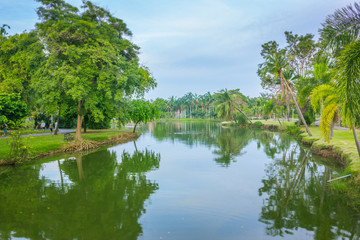 Fototapeta na wymiar Landscape trees and lake in the park.