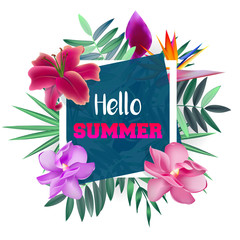 Design banner with Hello Summer logo.