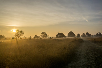 Fototapeta premium Sunrise Moorland Road