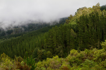 mountainside in hogsback south africa