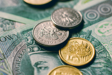Polish currency money zloty