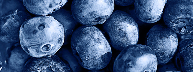 background berries blueberries  panorama