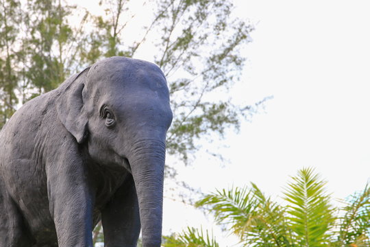 elephant statues in Thai temple public park