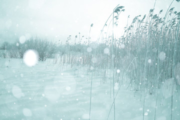 snow in the winter landscape of field on a cloudy day