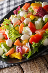Delicious salad with salmon, mozzarella cheese and vegetables close-up. Vertical