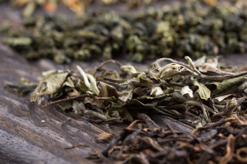 Dry leaves of different types of tea