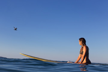 Fototapeta na wymiar A female surfer sits on her surfboard in a calm ocean and watches as a sea bird flies by.