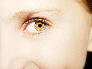 Obraz premium A beautiful insightful look girl ’s eye. Close up shot