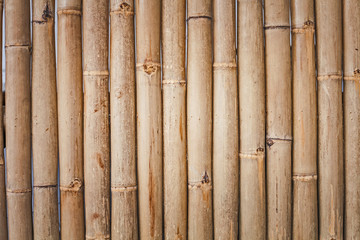 Bamboo cross texture 