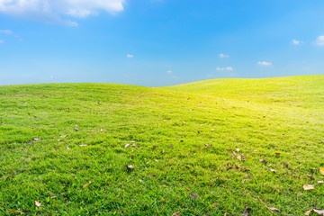 Grasses mound and blue sky. There are grasses covering it.