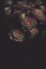 Bunch of fresh pastel roses vintage styled background  - 146025722