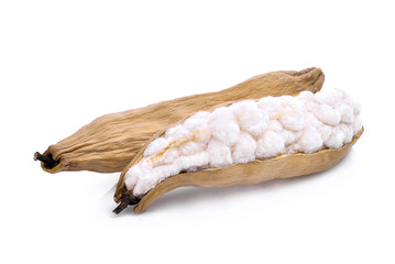 White silk cotton(Bombax ceiba) isolated on white background