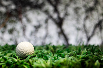 Golf ball on grass