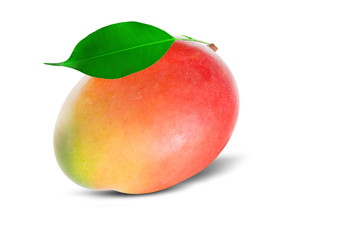 Mango isolated on white