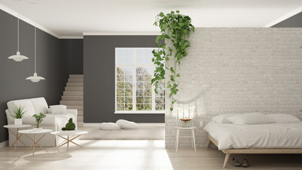 Scandinavian white and gray minimalist living with bedroom, open space, one room apartment, classic interior design