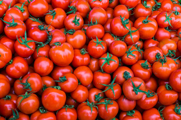 group of red tomatoes